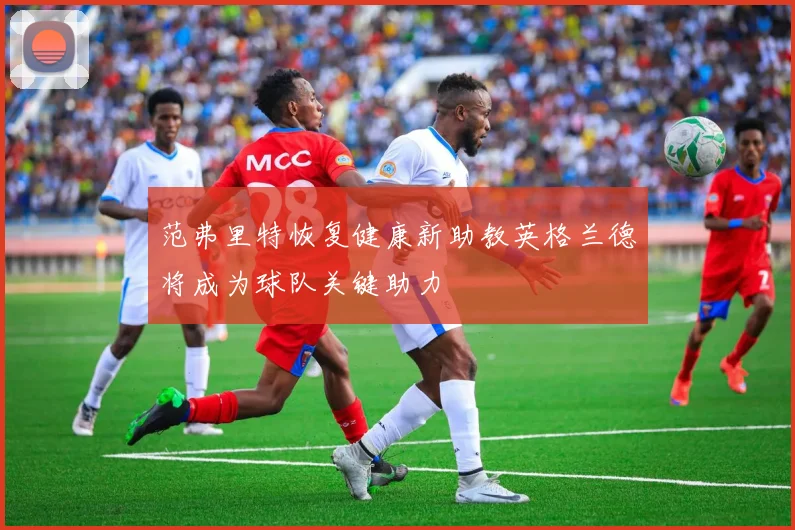 范弗里特恢复健康新助教英格兰德将成为球队关键助力