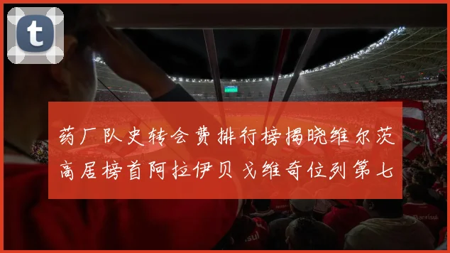 药厂队史转会费排行榜揭晓维尔茨高居榜首阿拉伊贝戈维奇位列第七